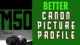 A Better Canon Picture Profile for Canon Cameras - M50 Footage Examples