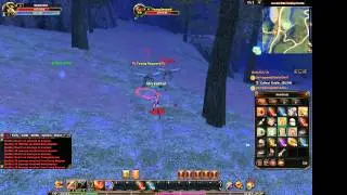 Archlord 2 bug