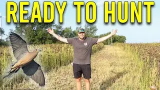 The Dove Field Is READY TO HUNT!
