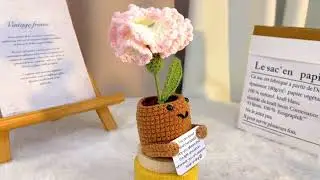 January Birth Month Flower Carnation with Custom Message Planter #hypoallergenic #birthday #Crochet