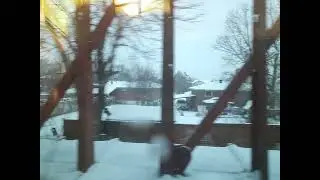 &ldquo;Merry Christmas 🎄✨ Toronto, Canada 🇨🇦 | GO Transit Adventure 🚆&rdquo;