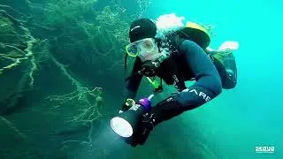 Shallow dive with SeaYa ZOOM32 in Hemmoor, Germany.
