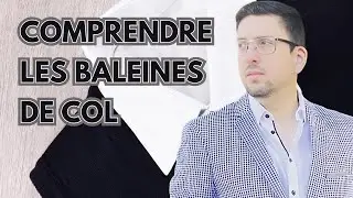 Comprendre Les Baleines De Col