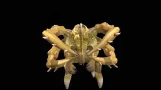Spore - Sand Demon