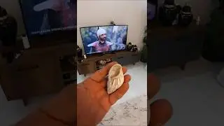 #cockatiel #birds #parrot #pets #cute #petbirdcommunity #avianadventures #cockatielcraze