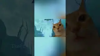 Oblivion Khajiit Meme: Skooma & Moon Sugar Edition 🐱 #shorts