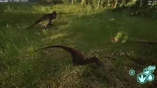 The Isle AU 1 - 1v1 Rex Vs Raptor!