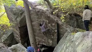 Harmonic Tremors V9