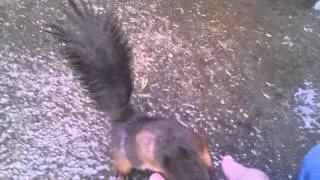 VIDEO0016