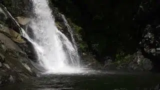 Magnificent Waterfall & Nature Ambience in 4K | Relaxing Scenic Views for Deep Calm