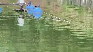 A Bizarre Fishing Experience