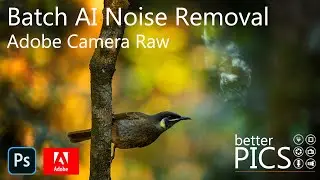 Batch AI Denoise Adobe Camera Raw | #AI #Denoise #ACR #Batch #Workflow #FastEditing