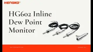 HG602 Inline Dew Point Monitor &ndash; Reliable Dew Point Monitoring for Harsh Industrial Environments