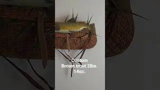 Brown trout replica #fish #fishing