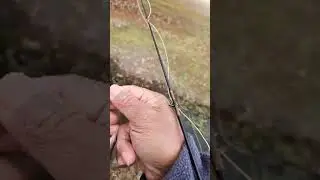 Micro Fly Rod Madness: Tiny Fish, Big Laugh &mdash; Get the Net!