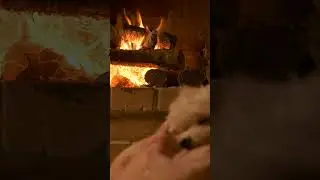 Real Fireplace &ndash; 8 Hours | Overnight Sleep, Crackling Fire Sounds, No Music (4K) #burningfireplace