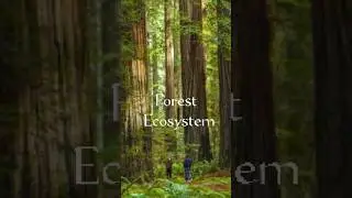 Different types of Ecosystems#Environmental science#shorts#shorts feed#ecosystem#viral shorts