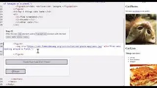 Adding Captions to Images: Using the Figcaption Element! (Day 28)
