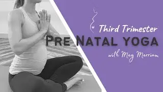 Pre Natal Yoga | Third Trimester | Slow Sculpt | 35 min | with Meg Merriam | altr Yoga