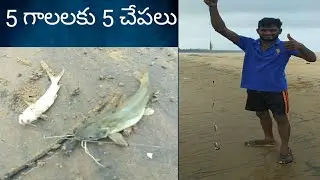 🐠🐠#5hooks in 5fishes#fishing#fastfishing# 🐠🐠🐠