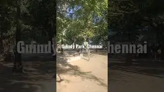 Guindy park #chennai #guindypark
