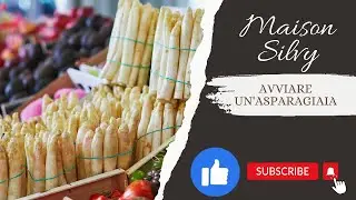 Come avviare un'asparagiaia - Semina degli asparagi e curiosità