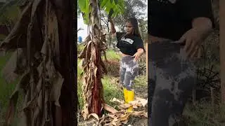En mi finca Soy Yeka palacios 🌸