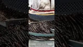 Watch Granules Forming 🔥 So Satisfying!