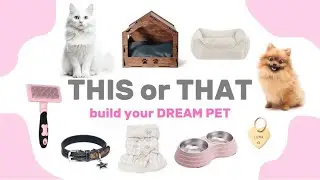 BUILD YOUR DREAM PET | THIS OR THAT🐶🐈🐾