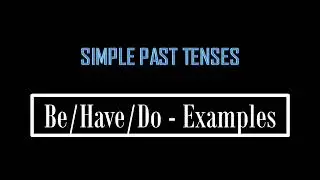 Examples For Simple Past Tense using Be, Have and Do