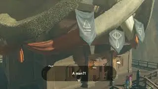 What... What is going on in Paya's Bedroom?...  - Breath of the Wild