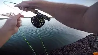 Fly Fishing for Mackerel in Scotland