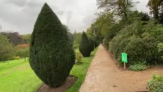 Mindful Nature Walk in an English Garden with Rain.