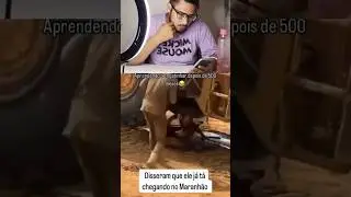 try not to laugh challenge🤣 24/500 #ytshorts #viral #trending #OE_react_Plus #funnypunjabisong