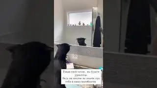 Узнайте свой тотем и он вас удивит!!