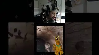 Bro did Scooby Doo&rsquo;s Laugh ☠️