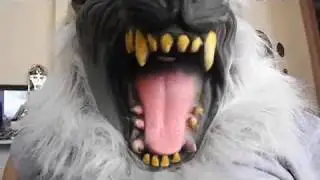 A Werewolf ate my cat