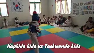 Hapkido kids vs Taekwondo kids