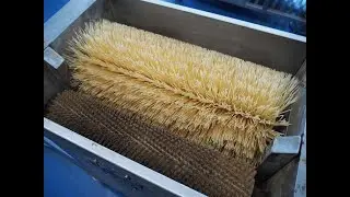 Baking tray cleaning machine KD-Putz MARGO RATIO Ma&scaron;ina za či&scaron;ćenje plehova