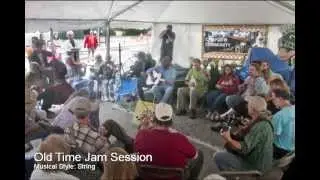 Great Lakes Folk Festival 2012