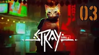 On explore et rencontre Momo, Stray #03