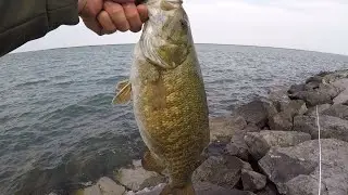 Bank Fishing for Lake Erie Smallmouth!