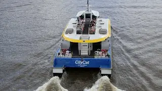 12 Hours in Brisbane, Australia | CityCat Ferry Tour on the Brisbane River