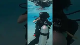Learn scuba diving #scubadiving #scubadivinglife #learntodive #scubadivingdaily #dsd #ocean #nature
