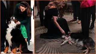 Kate Middleton&rsquo;s Heartwarming Moment at Royal Variety Performance