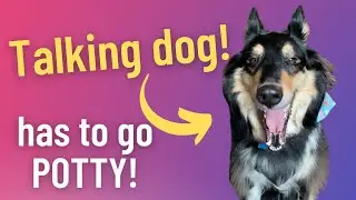 TALKING DOG has to GO POTTY! 😳 Using buttons to communicate!