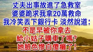 民政局辦離婚手續，我當場停藥 斷供 換鎖，停掉了婆家每月3萬生活費，婆婆急眼：你不能這麼幹！我笑了笑：既然離婚了，我為何還要供養你全家？#為人處世#生活經驗#情感故事#故事#小說#戀愛#情感#婚