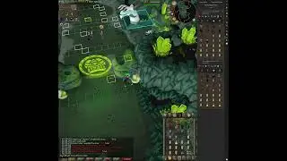 27:11 3+4 CoX - Your raids should not be this this long! - WDR minreq gear scaled raid