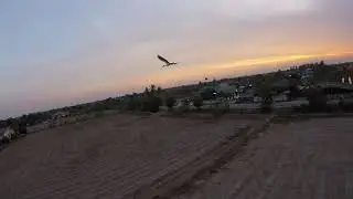 Emuflight 0.2.0 New PID (16-05-2020) Chameleon - 220