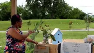 Gardening for People with Disabilities